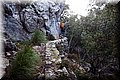P1186199.JPG