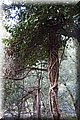 P1186200.JPG