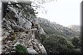 P1186201.JPG