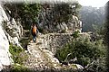 P1186207.JPG