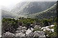 P1186220.JPG