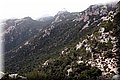 P1186226.JPG