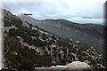 P1186235.JPG