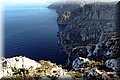 P1296254.JPG
