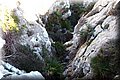P1296262.JPG
