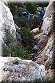 P1296265.JPG