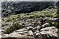 P1296274.JPG