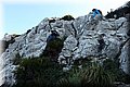 P1296295.JPG