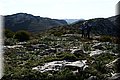 P1296314.JPG