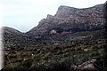 P1296315.JPG