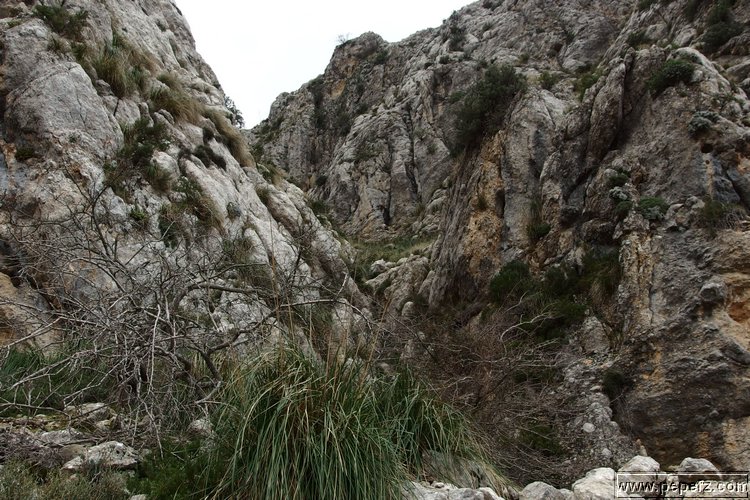 P2050008.JPG
