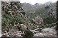 P2050018.JPG