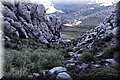P2150100.JPG