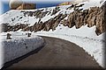P2150165.JPG