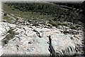 P2150182.JPG