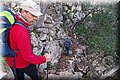 P3050305.JPG