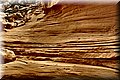P5280989.JPG
