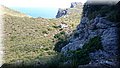 DSC_0651.JPG
