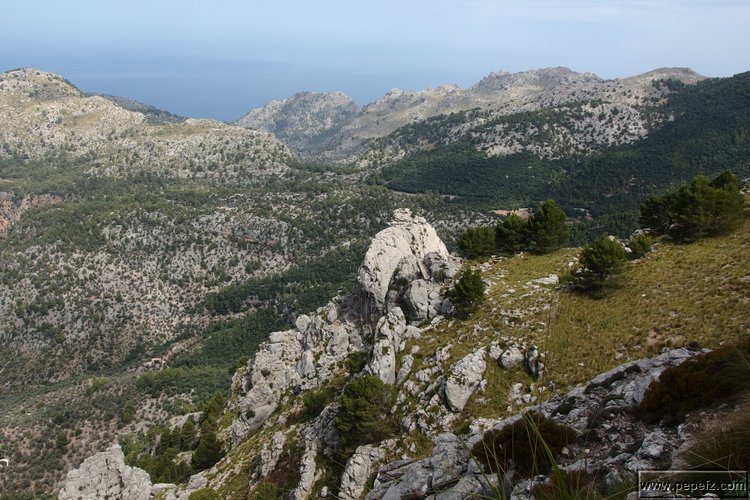 P8131654.JPG