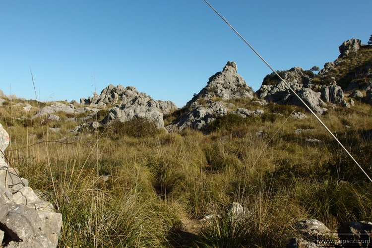 P2192168.JPG