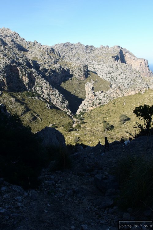 P2192179.JPG