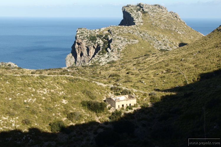 P2192182.JPG
