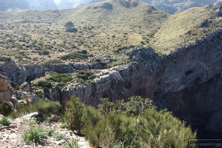 P2192222.JPG