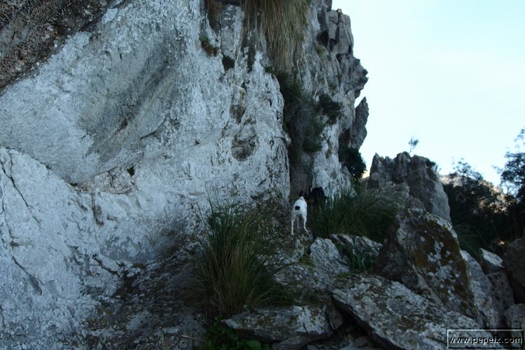 P2192240.JPG