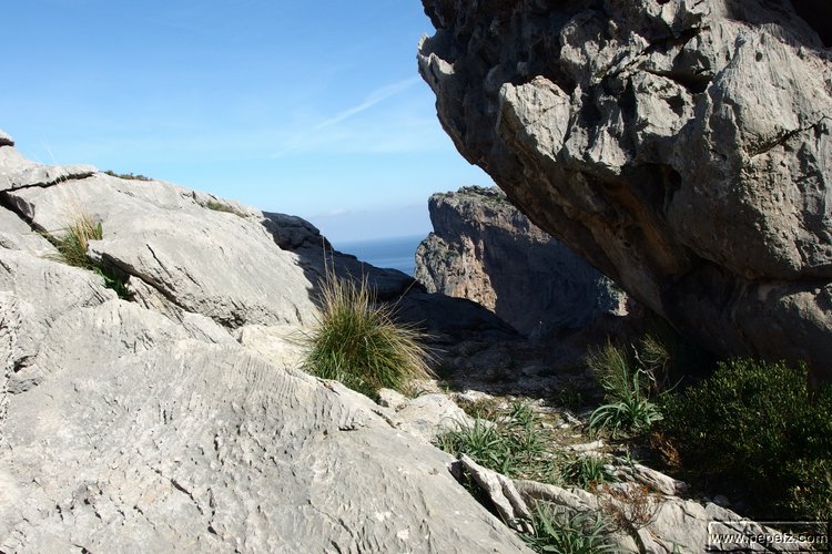 P2192250.JPG