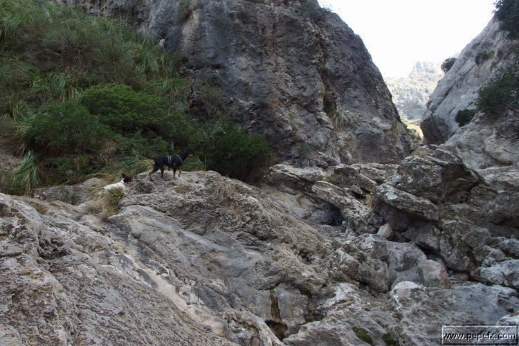 P2192256.JPG