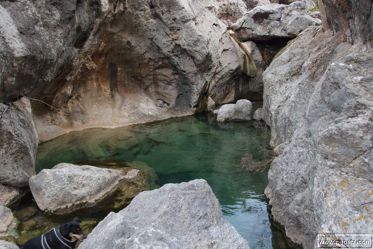 P2192259.JPG