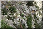P4152661.JPG