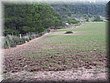 IMG_2409.JPG