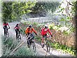 IMG_2457.JPG