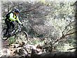IMG_2506.JPG
