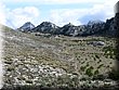 IMG_2721.JPG