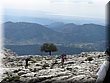 IMG_2842.JPG