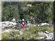 IMG_3321.JPG