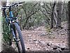 IMG_0021.JPG