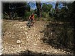 IMG_0479.JPG