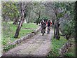 IMG_3590.JPG