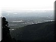 IMG_4387.JPG