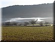 IMG_5919.JPG