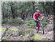 IMG_6265.JPG