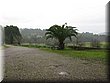 IMG_6309.JPG