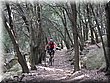 IMG_8247.JPG