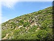 IMG_9841.JPG