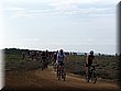 IMG_9968.JPG