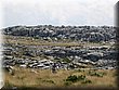 IMG_0214.JPG
