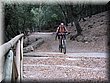 IMG_0241.JPG